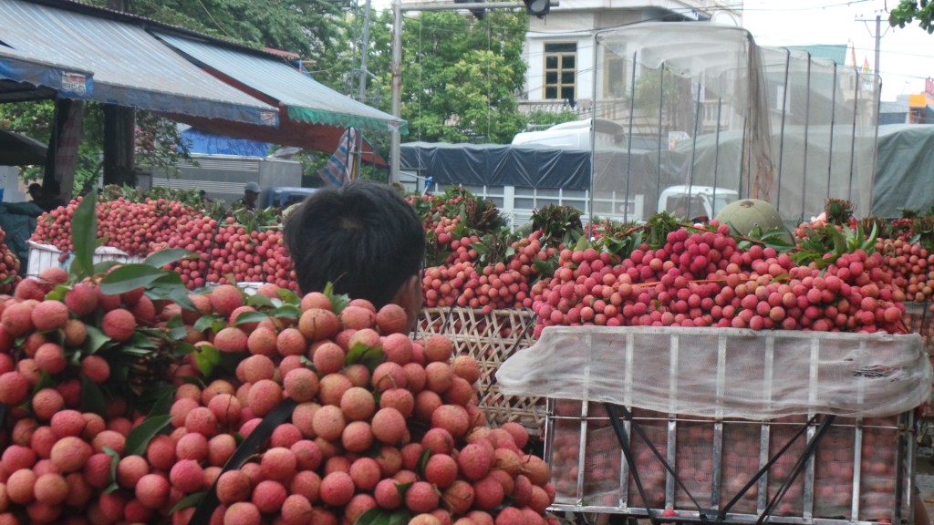 Xe Hai Chiều