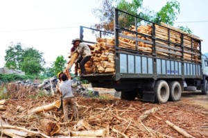 Đội xe chuyển hàng đi Nam Định